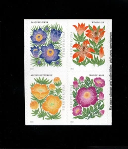 US  LOT #13  Scott #5676-5679  Mountain Flora   Double sided Blk of 4  VF  MNH - Picture 1 of 2