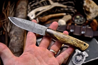 CFK Handmade Custom Damascus BROWN CAMEL BONE Small Hunting Skinning Sport Knife - Image 1 of 4
