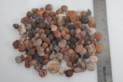 Núcleos de truenos Hermanas Nuevo México 1 lb.  lote rugoso lapidario J1 Foto 1 de 4