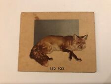 RED FOX : Animals of the World #105 card : Topps 1951 VF; vintage vixen