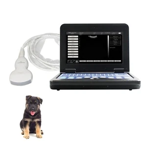 CONTEC CMS600P2VET Tragbares Ultraschallgerät für die Tiermedizin Konvexe Sonde - Picture 1 of 13