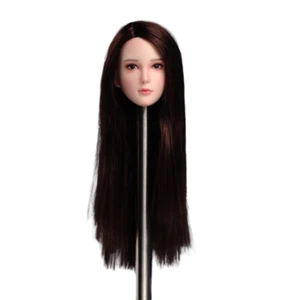 SUPER DUCK 1/6 SDH028C Female Head Sculpt For 12inch PHICEN TBLeague Brown Hair - Picture 1 of 9