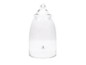 Large Glass Terrarium with Glass Lid High Quality H:48 cm Glass Vessel - Picture 1 of 12