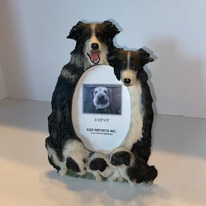 Border Collie Dog Picture Frame Holds 3 1/2x5 Photo - Picture 1 of 9