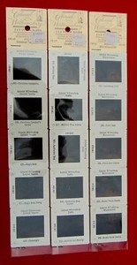 15 COLOR SLIDES OF COLONIAL WILLIAMSBURG ~ 2" x 2" ~ BRAND NEW - Picture 1 of 11