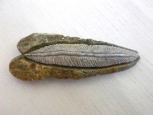 Pluma de piedra jabonosa tallada a mano en la roca por Soaring Eagle 2011 talla nativa - Imagen 1 de 7