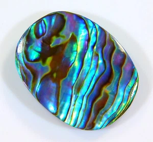 39 CT 100%NATURAL RAINBOW FIRE ABALONE SHELL CABOCHON GEMSTONE 31x23x6 MM BP=071 - Picture 1 of 7