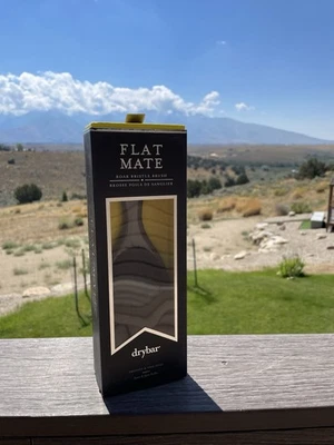 Drybar Flat Mate Boar Bristle Brush Smooths & Adds Shine NIB!  $85 MSRP - Image 1 of 4