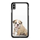 Chubby Plump Overweight Fat Pug Dog Pet Dog Animal 2D Phone Case Cover