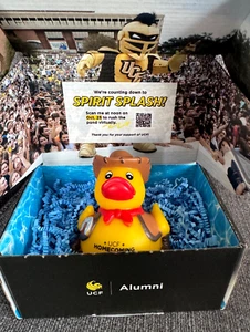 2024 UCF Spirit Splash Homecoming Cowboy Duck University Of Central Florida NIB - Picture 1 of 6