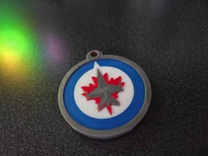 Llavero Winnipeg Jets | Plástico | Grande - Imagen 1 de 4