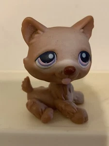 Littlest Pet Shop LPS HUSKY DOG #38 Chocolate Brown - Picture 1 of 3