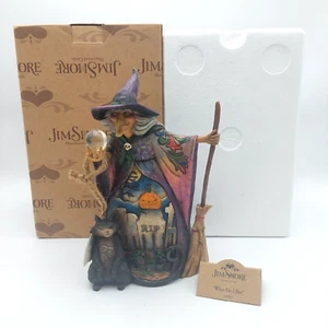 Jim Shore "What Do I See" Witch with Crystal Ball and Cat w/Box 2007 Halloween - Picture 1 of 8