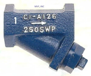 1" NPT 250 SWP Cast Iron Body Wye Strainer, Stainless Screen <220WH - Picture 1 of 5