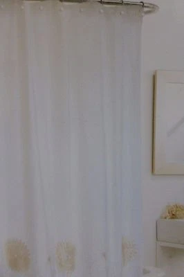 Raymond Waites Juliet Fabric Shower Curtain 72" x 72" NIP - Image 1 of 4