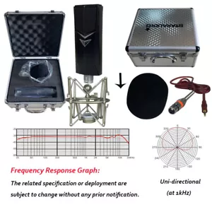Condenser Microphone Complete Kits Live Studio Sound Recording Boom Broadcast - Picture 1 of 12