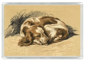 WELSH SPRINGER SPANIEL SCHLAFENDER HUND KUNSTDRUCK NEUHEIT KÜHLSCHRANKMAGNET TOLLES GESCHENK - Bild 1 von 1