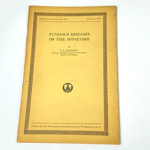 1930 Booklet Fungous Diseases Of The Honeybee C. E. Burnside Technical Bulletin - Picture 1 of 13
