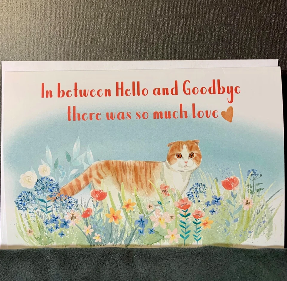 Tarjeta de felicitación condolencias de simpatía pérdida de mascota gato mucho amor Foto 1 de 3