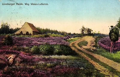Lüneburger Heide, Weg Wesen-Lutterloh, 1910 - Bild 1 von 2