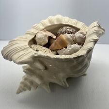 Atlantic Mold Rare Glaze Ceramic Vintage Conch Shell Planter W/GENUINE Seashell