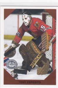 01/02 FLEER..GRANDES DEL JUEGO..TONY ESPOSITO..RETROSPECCIÓN.SP.# 13.BLACKHAWKS - Imagen 1 de 1