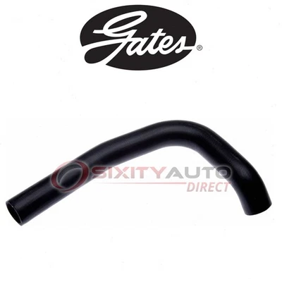 Gates Upper Radiator Coolant Hose for 1970 Plymouth Superbird 7.0L V8 - qb - Изображение 1 из 4