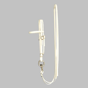 HORSE SIZE-READY MADE-White WESTERN BRIDLE and REINS Made from BETABIOTHANE