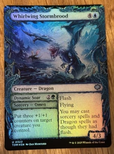 MTG Tarkir Dragonstorm, Whirlwing Stormbrood - Borderless Foil - Bild 1 von 1
