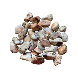 6x White Brecciated Jasper 25-30mm Tumbled Stone Healing Crystal Dreamwork  - Bild 1 von 2