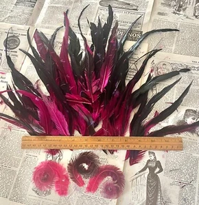 Large Lot of Antique Victorian, 1920s Dyed Pheasant Feathers, Purple, Fuschia - Picture 1 of 8