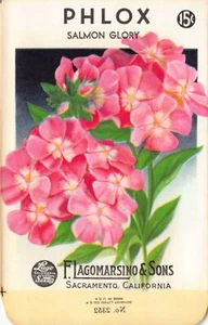 Vintage Seed Packet: PHLOX, Lagomarsino & Sons, Sacramento, 1940's - Picture 1 of 2
