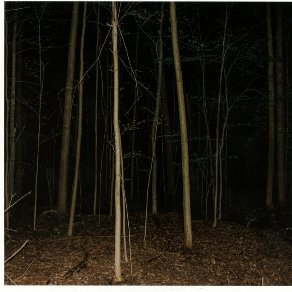 Express Rising Festes Seil II CD ER8016CD Neu - Bild 1 von 1