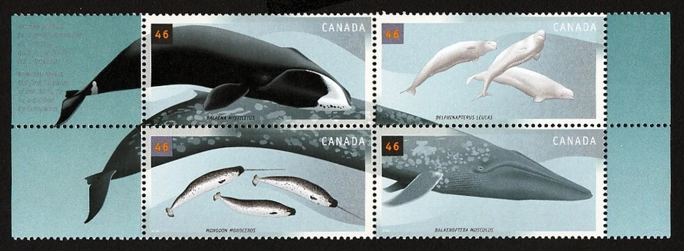 WHALES = NARWAL, BELUGA, BOWHEAD, BLUE WHALE = Block of 4(V1) Canada 2000 #1871a - Image 1 of 1