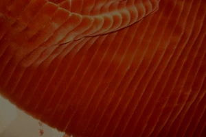 Remnant ROMO Fabric Sculpt Ribbed Velvet Burnt Orange Upholstery 43" x 73" BTP - Picture 1 of 5