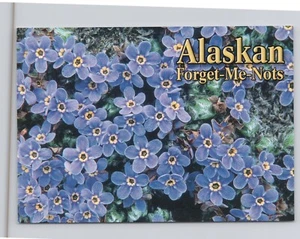 Alaskan Forget-Me-Nots State Flower of Alaska Postcard - Picture 1 of 2