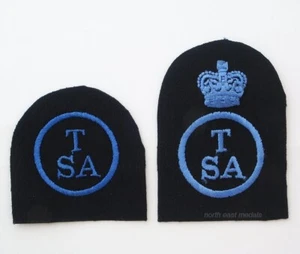 Royal Navy Wrens WRNS Training Support Assistant Trade Qualification Arm Badges - Picture 1 of 2