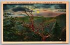 North Carolina Blue Ridge Mountains Grandfather Mt Night View Linen Postcard