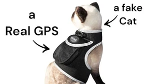 iTrackPET GPS Haustier Tracker für Katze - Wasserdicht, GPS Ortungs- & Aktivitätstracker - Bild 1 von 7