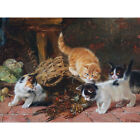 Adam Four Kittens Crayfish Cat Basket Painting XL Canvas Art Print