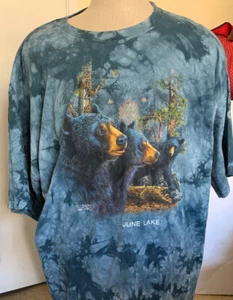 June Lake Find 11 Black Bears Gardner Polar Graphics T Shirt SIZE XXL - Picture 1 of 4