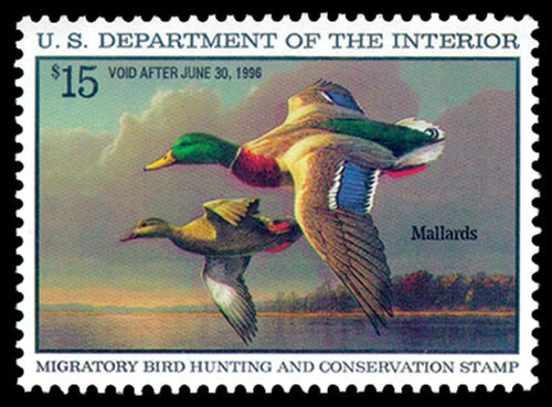 RW62 — 1995 Federal Duck Stamp, Mint NH - Image 1 of 1