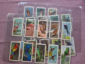 BROOKE BOND USA  - TROPICAL BIRDS  26/48   some foxing on backs abt GD - Picture 1 of 7