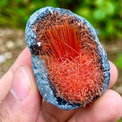 45G Indian dandelion zeolite Quartz Crystal Cluster Mineral Specimen - Image 1 of 4