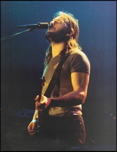 Pink Floyd David Gilmour onstage Fender Stratocaster guitar 8 x 11 pin-up photo - Picture 1 of 3