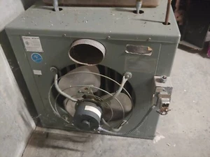 DAYTON 3E839 Gas Heater  BtuH 60k Output Model 3e839 - Picture 1 of 2