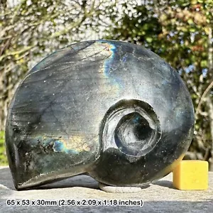 A-Ware Labradorit geschnitzte Ammonit Formen, poliert aus Madagaskar, original - Bild 1 von 1