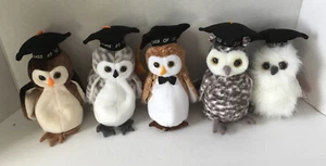 TY Beanie Babys Baby Eulen Klasse 98,99,'00,2001,2004 nicht mehr produziert Neu mit Etikett - Bild 1 von 2