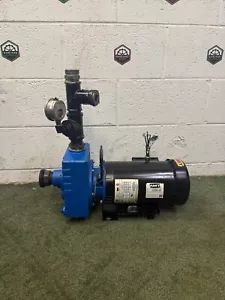 AMT 282M-95 Cast Iron Self Priming Centrifugal Pump w P63FKP-1648 Pump Motor 3Hp - Picture 1 of 11