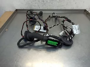 2018 PORSCHE MACAN TURBO RIGHT SIDE FRONT DOOR WIRING LOOM HARNESS 95B971029BB - Picture 1 of 8